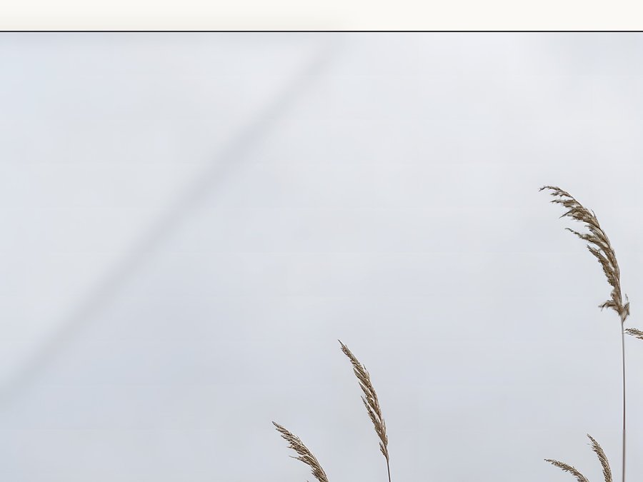 Dune Grass, Grey Sky, shown framed