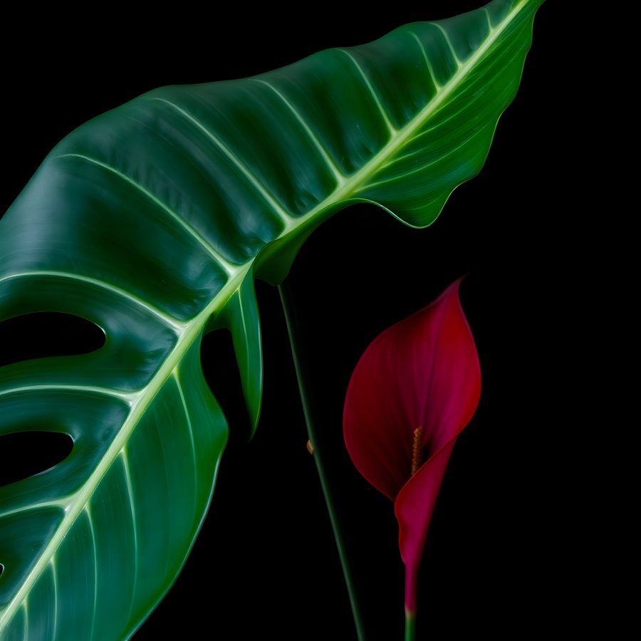 AI-generated artwork: Tropical Leaf, Graphic Shape (flat preview)